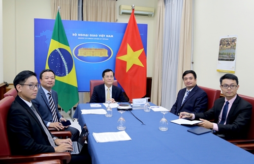 Tham khảo chính trị cấp Thứ trưởng Bộ Ngoại giao Việt Nam - Brazil